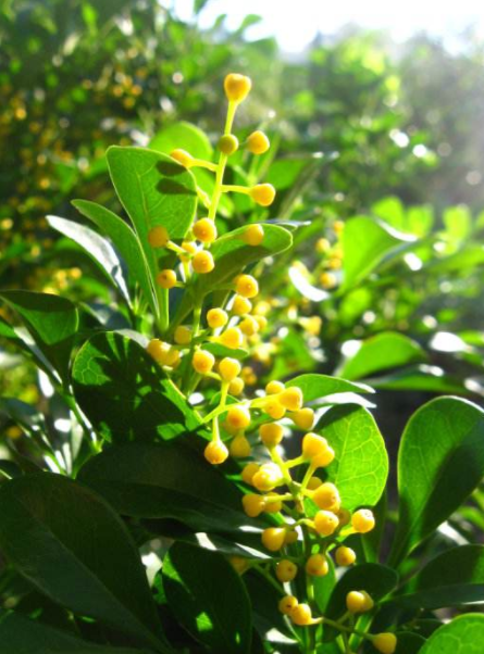 耐酸磚，盲道磚，陶瓷透水磚源頭生產(chǎn)廠家到底適不適合參加展會